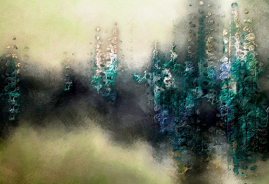 Brouillard forestier. Forêt mystérieuse dans le brouillard matinal